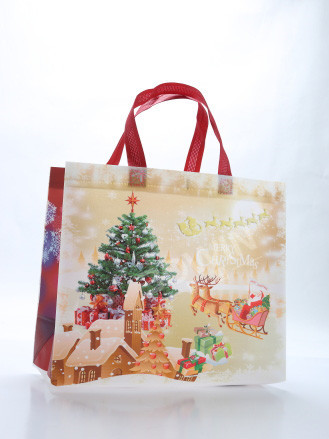 Christmas gift bag